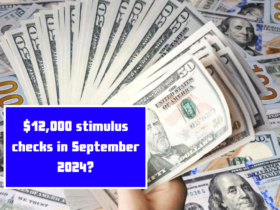 $12,000 stimulus checks in September 2024?