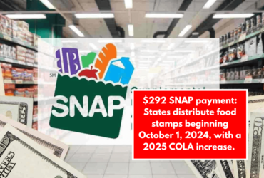 $292 SNAP payment: States distribute food stamps beginning October 1, 2024, with a 2025 COLA increase