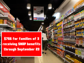 $766 for families of 3 receiving SNAP benefits through September 23