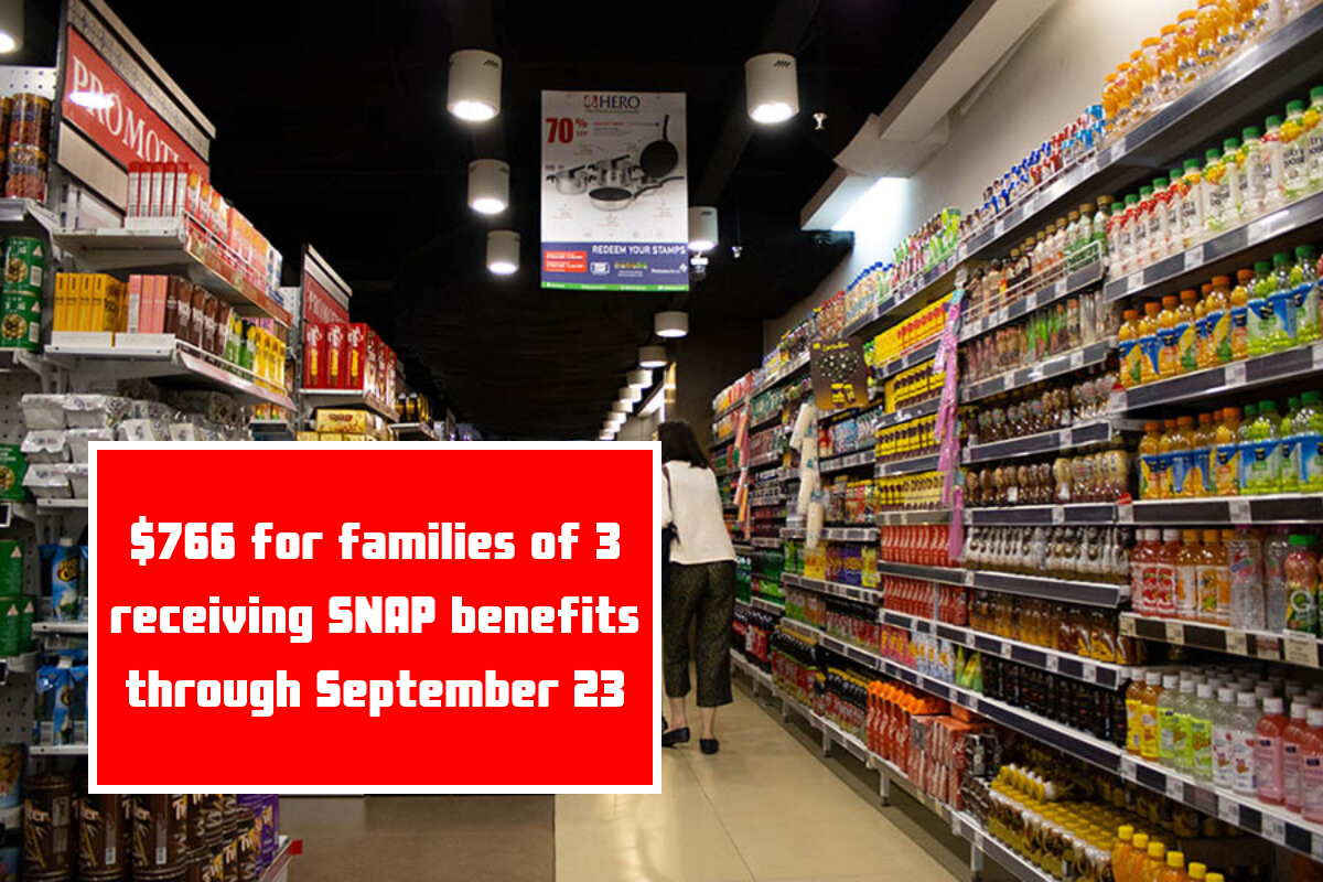 $766 for families of 3 receiving SNAP benefits through September 23