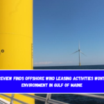 BOEM review finds offshore wind leasing activities wont harm environment in Gulf of Maine