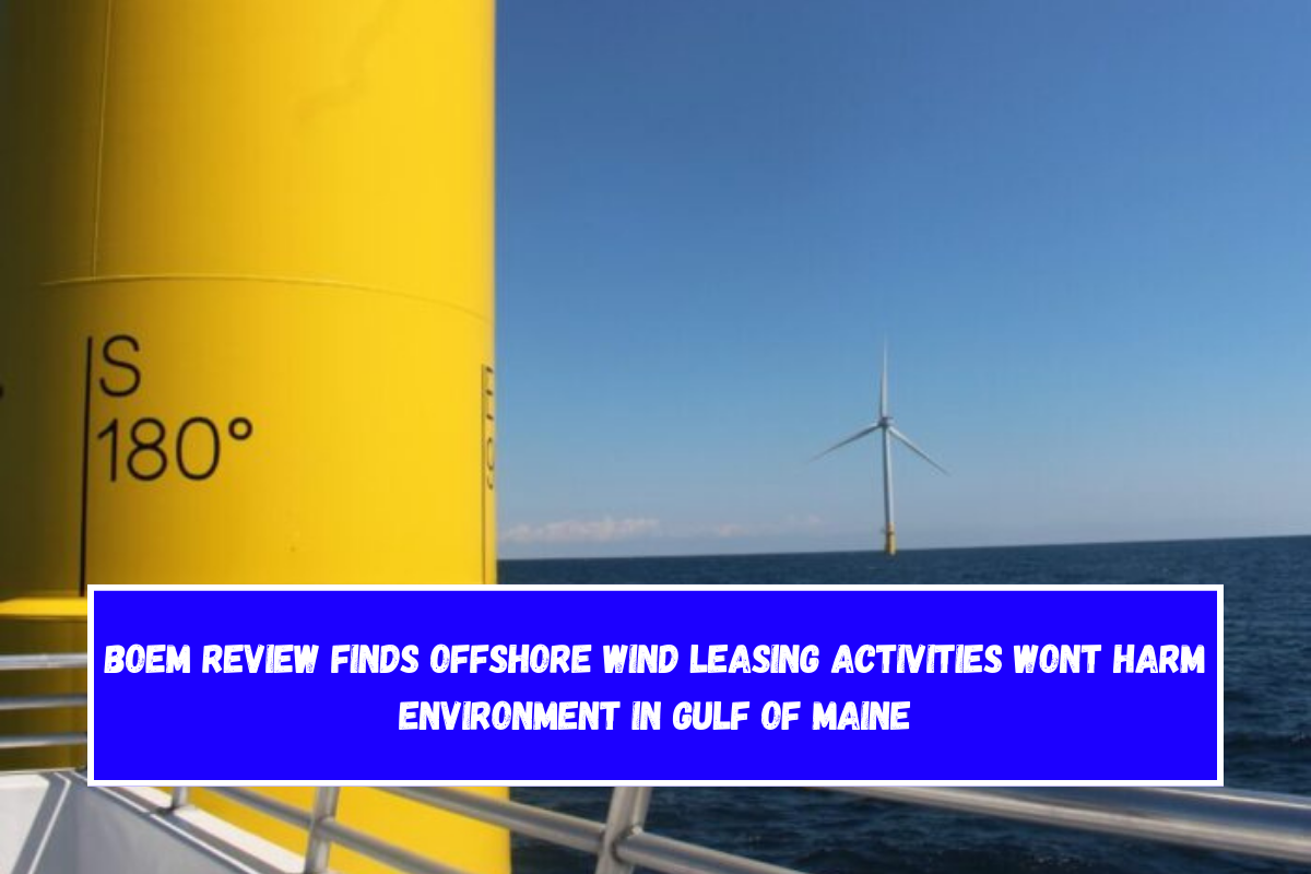 BOEM review finds offshore wind leasing activities wont harm environment in Gulf of Maine