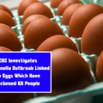 CDC Investigates Salmonella Outbreak Linked to Eggs Which Have Sickened 65 People