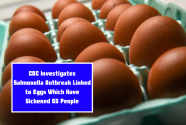 CDC Investigates Salmonella Outbreak Linked to Eggs Which Have Sickened 65 People