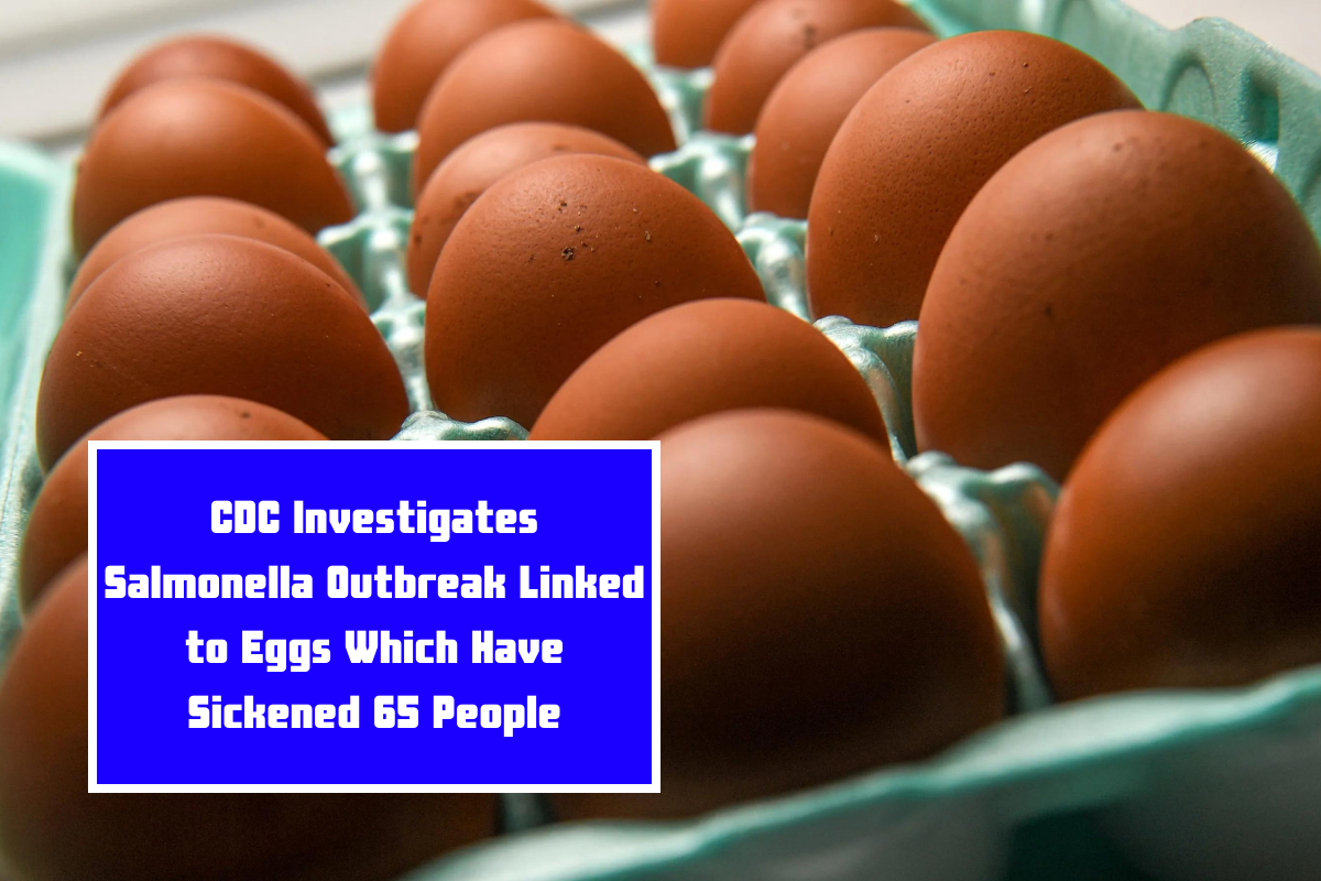 CDC Investigates Salmonella Outbreak Linked to Eggs Which Have Sickened 65 People