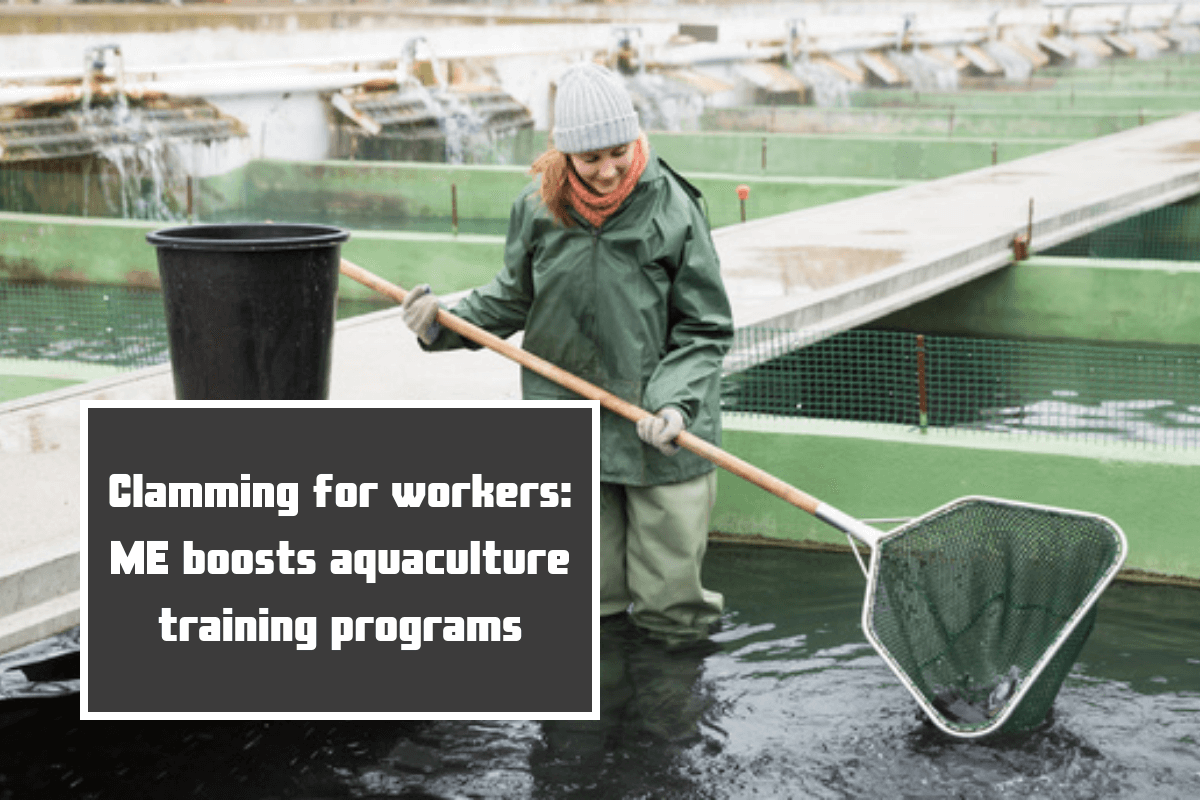 Clamming for workers ME boosts aquaculture training programs