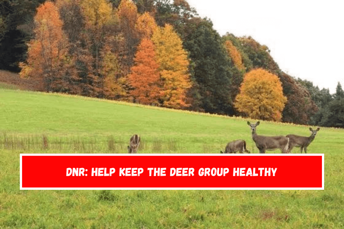 DNR Help keep the deer group healthy