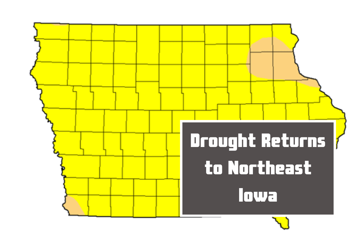 Drought Returns to Northeast Iowa