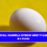 Egg recall: Salmonella outbreak linked to illnesses in 9 states