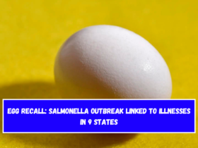 Egg recall: Salmonella outbreak linked to illnesses in 9 states