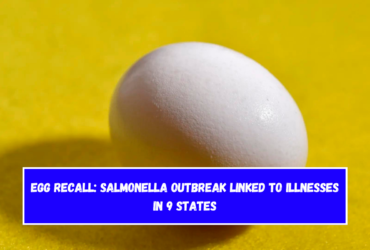 Egg recall: Salmonella outbreak linked to illnesses in 9 states