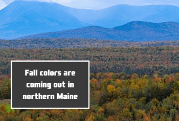 Fall colors are coming out in northern Maine