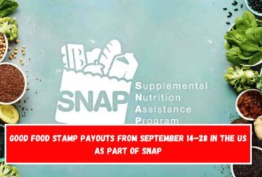 Good Food Stamp payouts from September 14–28 in the US as part of SNAP