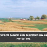 Incentives for farmers work to restore Iowa habitat, protect soil