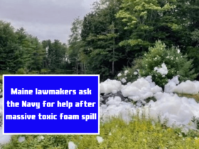 Maine lawmakers ask the Navy for help after massive toxic foam spill