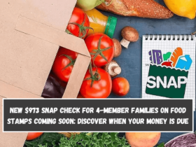 New $973 SNAP check for 4-member families on Food Stamps coming soon: Discover when your money is due