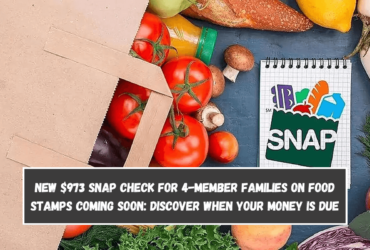 New $973 SNAP check for 4-member families on Food Stamps coming soon: Discover when your money is due