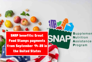 SNAP benefits: Great Food Stamps payments from September 14-28 in the United States