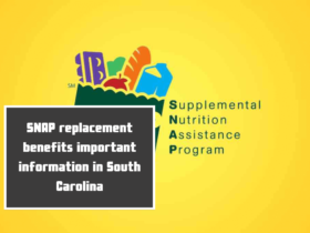 SNAP replacement benefits important information in South Carolina