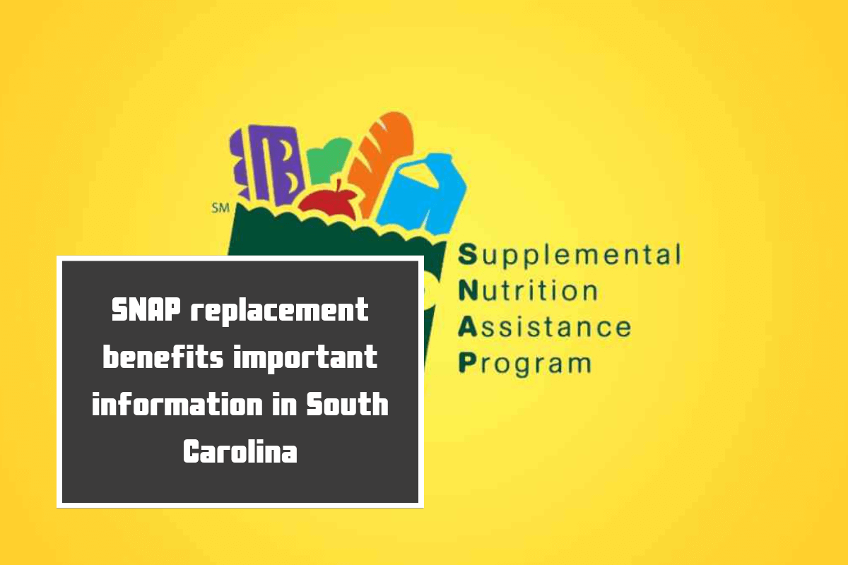 SNAP replacement benefits important information in South Carolina