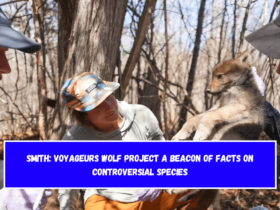 Smith: Voyageurs Wolf Project a beacon of facts on controversial species