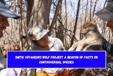 Smith: Voyageurs Wolf Project a beacon of facts on controversial species