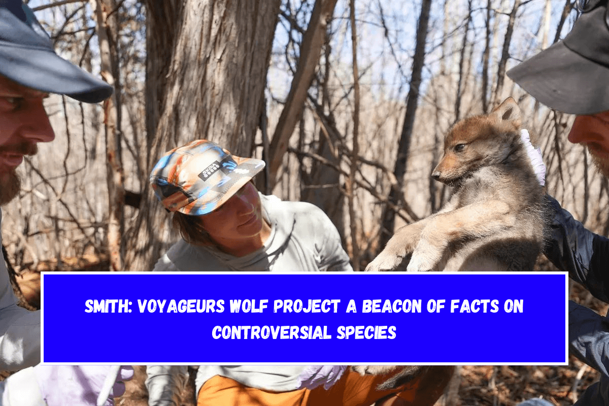 Smith: Voyageurs Wolf Project a beacon of facts on controversial species