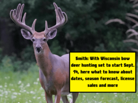 Smith: With Wisconsin bow deer hunting set to start Sept. 14, here what to know about dates, season forecast, license sales and more