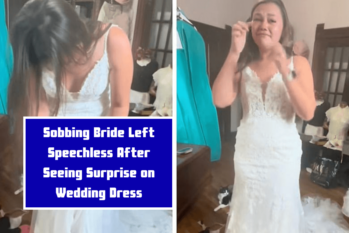 Sobbing Bride Left Speechless After Seeing Surprise on Wedding Dress