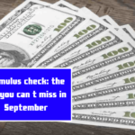 Stimulus check: the aid you can t miss in September