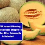 The FDA Issues A Warning For Cantaloupes Shipped To 5 States After Salmonella Is Detected