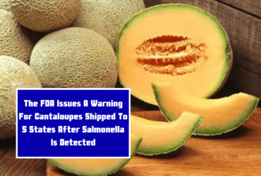 The FDA Issues A Warning For Cantaloupes Shipped To 5 States After Salmonella Is Detected