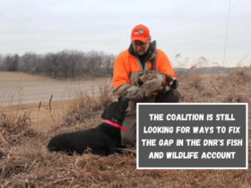 The coalition is still looking for ways to fix the gap in the DNR's fish and wildlife account