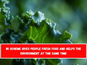 WI scheme gives people fresh food and helps the environment at the same time