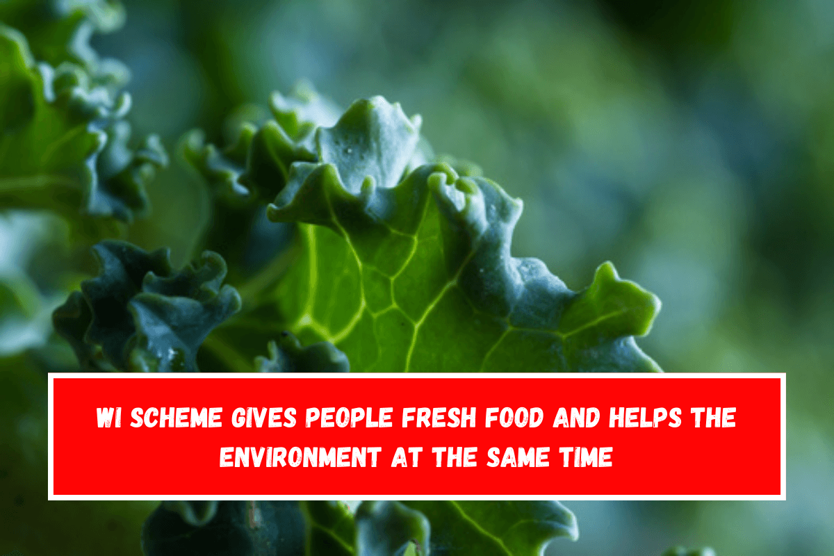 WI scheme gives people fresh food and helps the environment at the same time