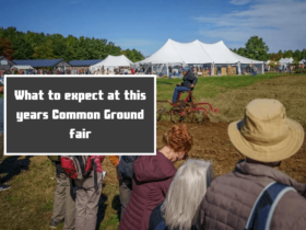 What to expect at this years Common Ground fair