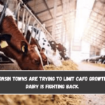 Wisconsin towns are trying to limit CAFO growth. Big Dairy is fighting back.