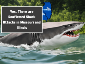 Yes, There are Confirmed Shark Attacks in Missouri and Illinois