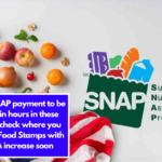 $768 SNAP payment to be issued in hours in these States, check where you can get Food Stamps with COLA increase soon