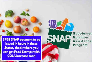 $768 SNAP payment to be issued in hours in these States, check where you can get Food Stamps with COLA increase soon