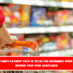 Food Stamps payment date in Texas for November when you’ll receive your food assistance