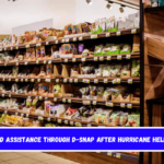 Food assistance through D-SNAP after Hurricane Helene