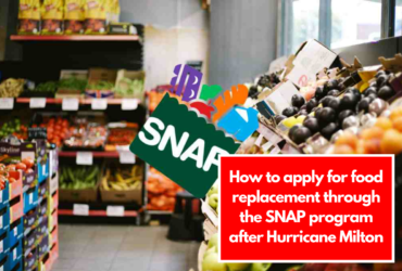 How to apply for food replacement through the SNAP program after Hurricane Milton