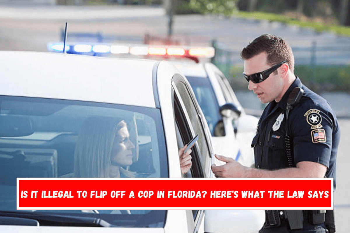 Is It Illegal to Flip Off a Cop in Florida Here's What the Law Says