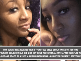 Mom claims she believed her 10-year-old child could care for her two younger siblings while she was not home for several days after she flew to a distant state to assist a friend undergoing liposuction surgery; sentenced