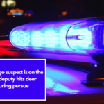 Newaygo suspect is on the run; deputy hits deer during pursue