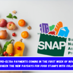 SNAP $292-$1,756 payments coming in the first week of November, check the new paydays for Food Stamps with COLA