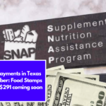 SNAP payments in Texas for October: Food Stamps of up to $291 coming soon