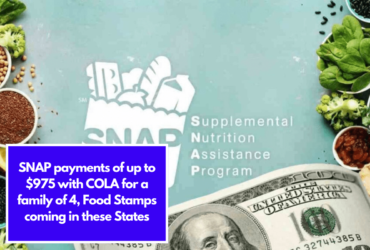 SNAP payments of up to $975 with COLA for a family of 4, Food Stamps coming in these States