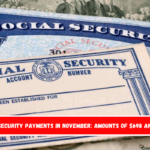 Social Security payments in November amounts of $698 and $1,539